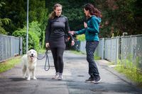 Evolve Hundetraining Potsdam